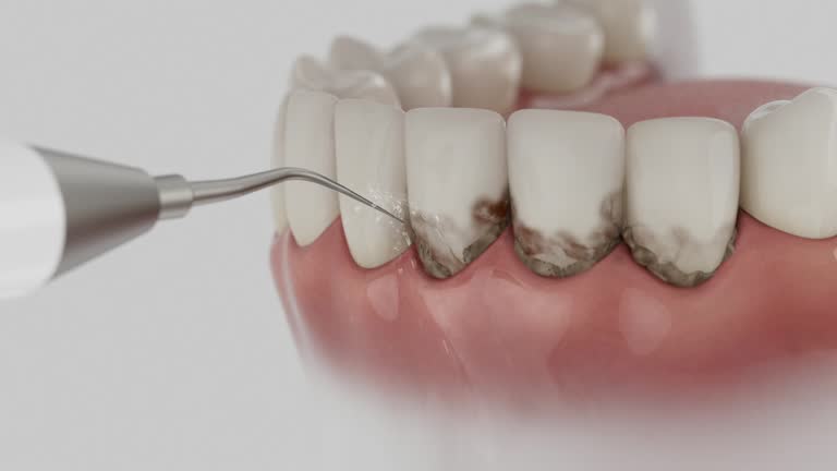 Reliable Dental contractor in Tippah County County, MS by Dentist Open Now